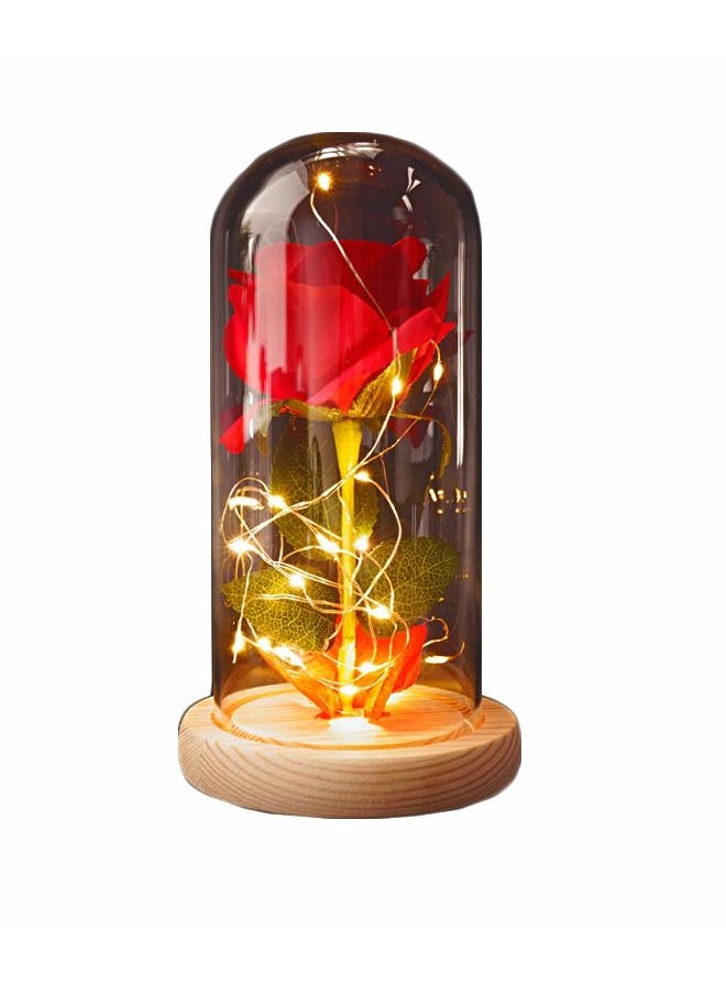 fashionhome - Beauty and The Beast Rose In LED Glass Dome - Image 1