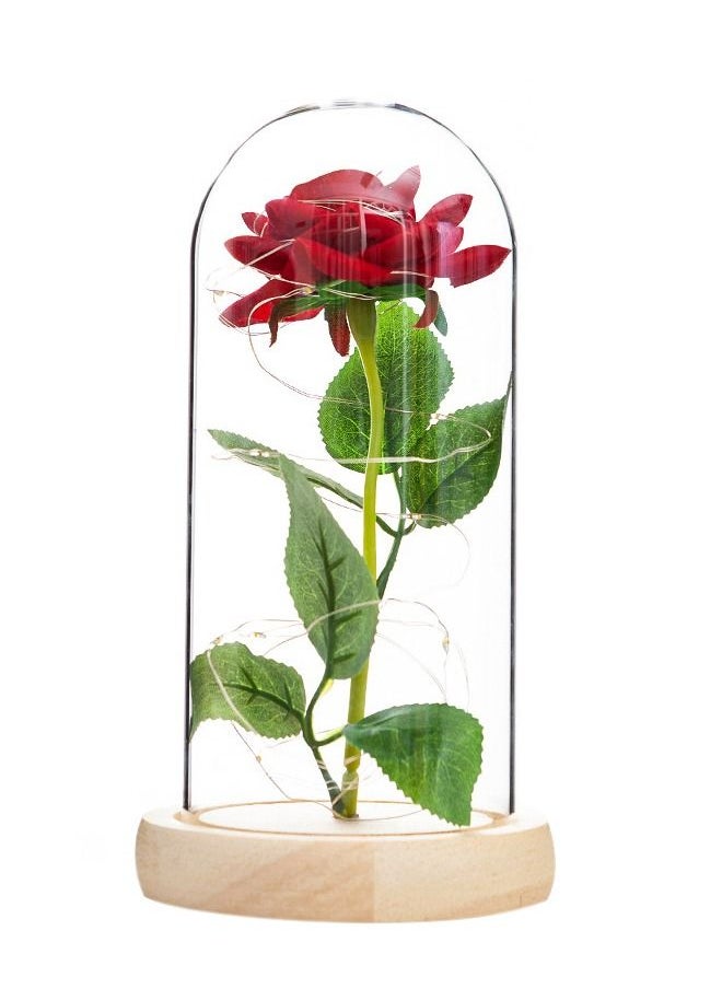 fashionhome - Beauty and The Beast Rose In LED Glass Dome - Image 1