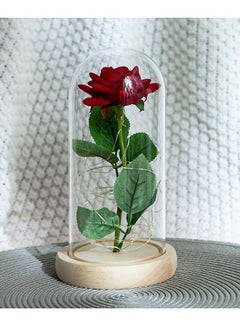 Beauty and The Beast Rose In LED Glass Dome