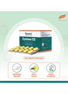 Himalaya Cystone Es Tablets 6Nx10s  - Image 2