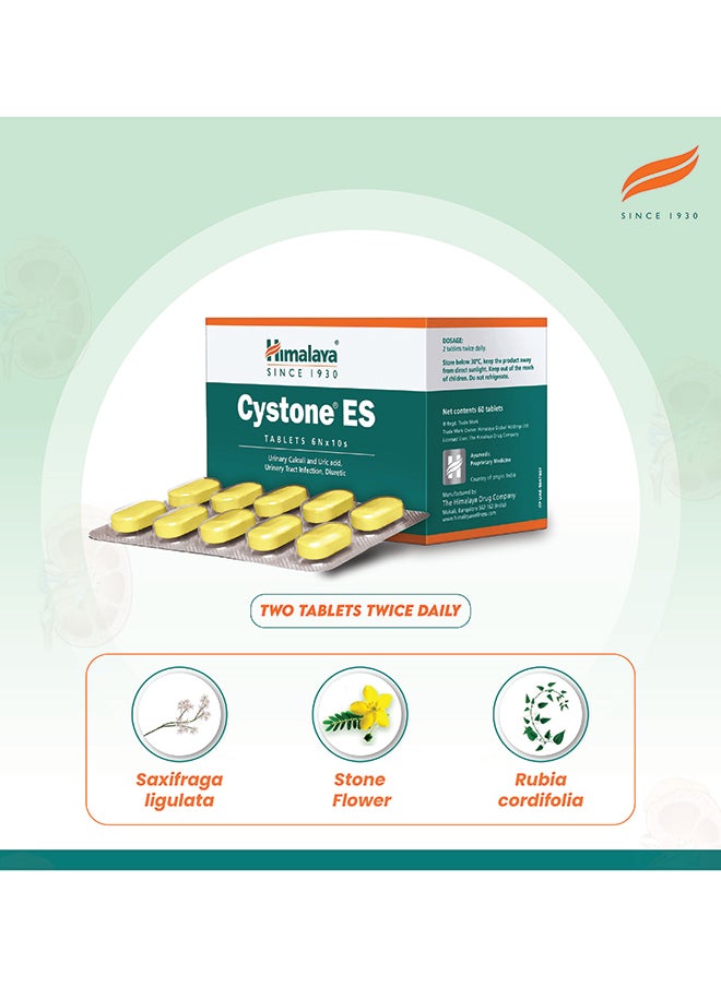 Himalaya Cystone Es Tablets 6Nx10s  - Image 2