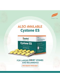Himalaya Cystone Es Tablets 6Nx10s  - Image 3