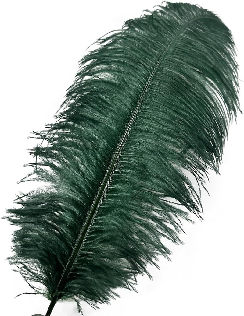 HAPPY FEATHER 16-18 inch Blackish Green Ostrich Feathers Craft for Wedding Party Centerpieces Home Decoration DIY Craft Pack of 10 - Image 2