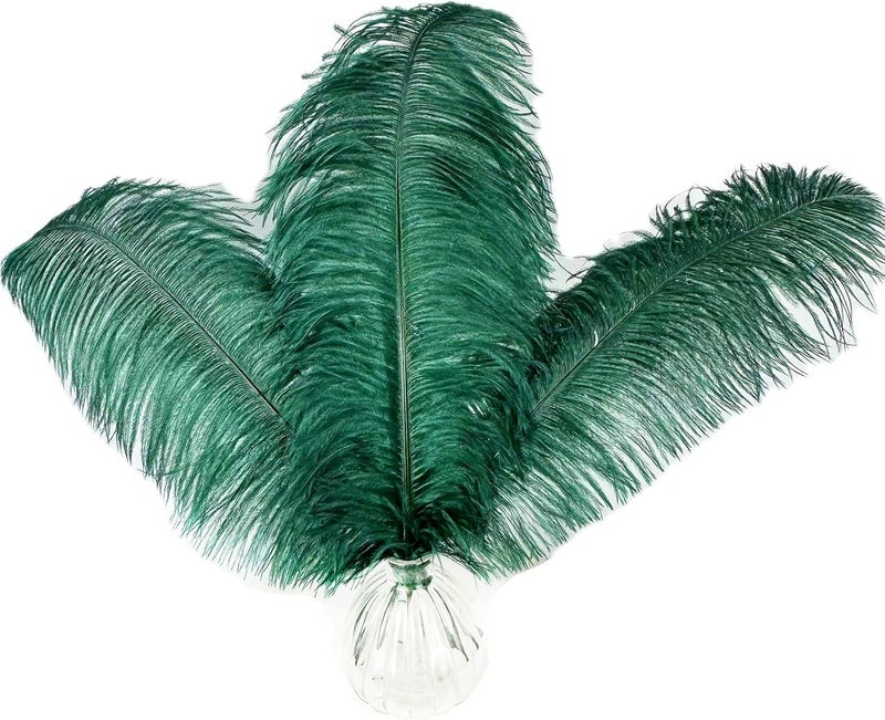 HAPPY FEATHER 16-18 inch Blackish Green Ostrich Feathers Craft for Wedding Party Centerpieces Home Decoration DIY Craft Pack of 10 - Image 1