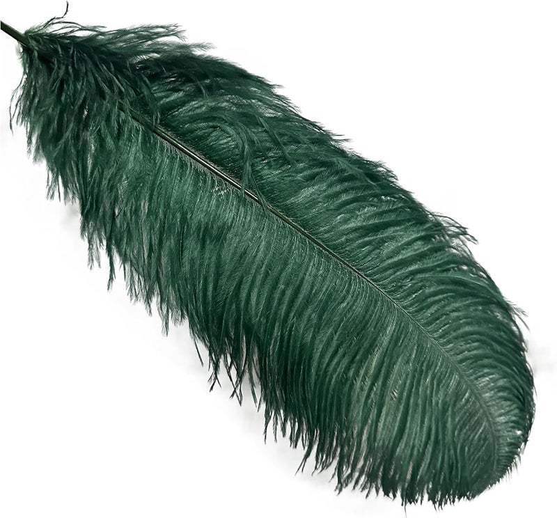 HAPPY FEATHER 16-18 inch Blackish Green Ostrich Feathers Craft for Wedding Party Centerpieces Home Decoration DIY Craft Pack of 10 - Image 3