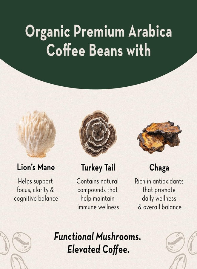 Lyfe Brew Organic Mushroom Coffee K-Cups with Lion's Mane, Chaga & Turkey Tail for All Day Energy, Focus & Immune Support - 12 Pods - Image 4
