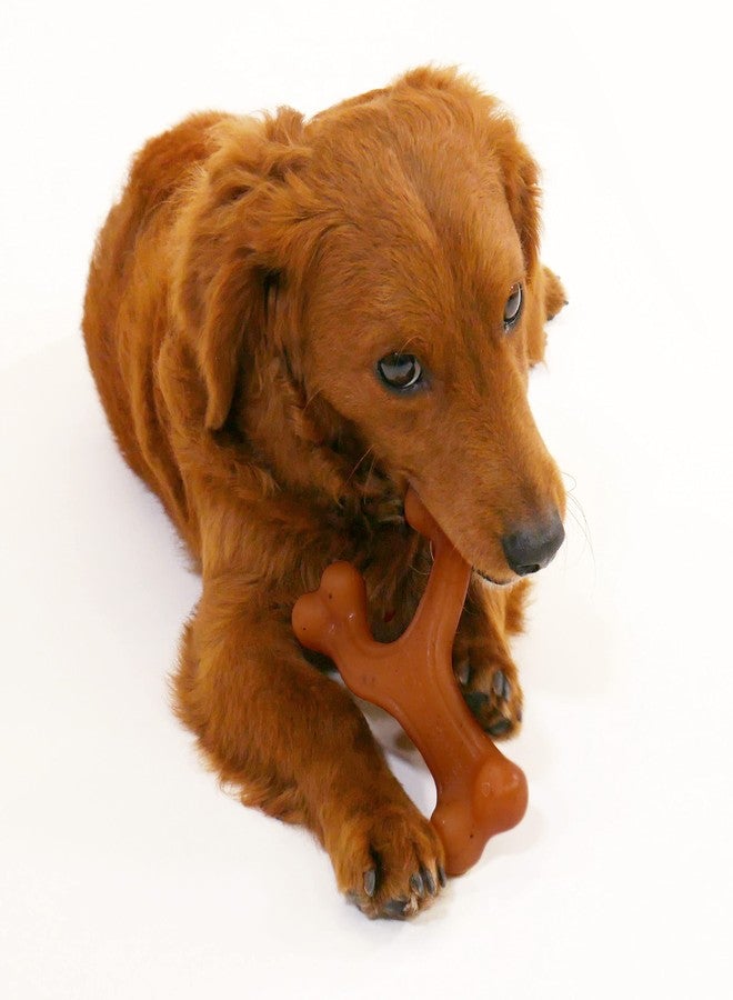 Nylabone Gourmet Style Wishbone Strong Chew Toy for Dogs, Bacon Flavor, Small - Up to 25 lbs, 1 Count - Image 3