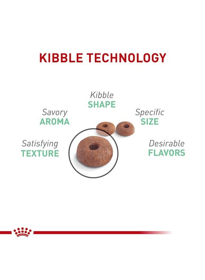 رويال كانين طعام القطط الجاف رويال كانين للعناية بالجهاز الهضمي، كيس 6 أرطال - Image 5