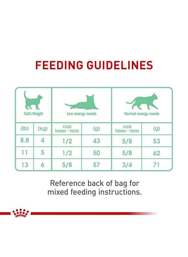رويال كانين طعام القطط الجاف رويال كانين للعناية بالجهاز الهضمي، كيس 6 أرطال - Image 4