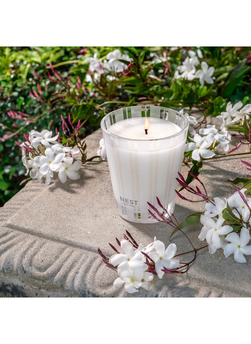 NEST FRAGRANCES NEST New York Scented Classic Candle  Indian Jasmine - 8.1 oz - Up to 60-Hour Burn Time - Reusable Glass Vessel  - Image 3