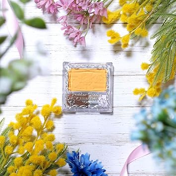 CanMake Powder Cheeks PW40 Mimosa Yellow 44g - Image 2