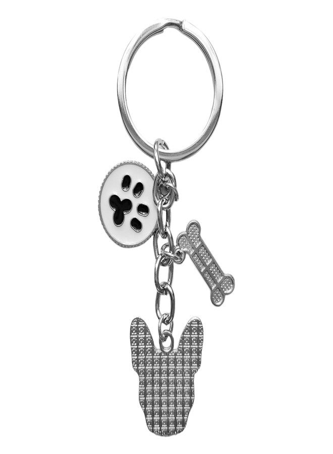 POYAMUSE Enamel Dog Pet Keychain - A Heartwarming Memorial and Adorable Accessory keyring for Dog Lovers-boston - Image 2