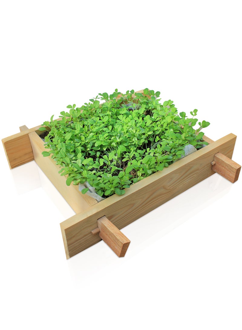 Puppy Gardenbed, 1 Foot x 1 Foot, White Wood Raised Garden Bed Outdoor, planter box for home gardening, starter kit to grow flowers, herbs, vegetables, succulent plants - Image 1