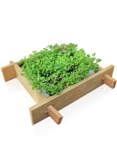 Generic Puppy Gardenbed, 1 Foot x 1 Foot, White Wood Raised Garden Bed Outdoor, planter box for home gardening, starter kit to grow flowers, herbs, vegetables, succulent plants  - Image 1