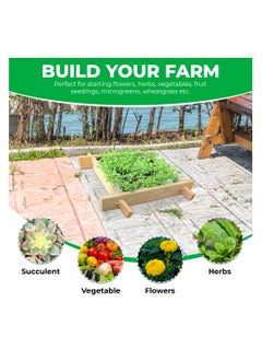 Generic Puppy Gardenbed, 1 Foot x 1 Foot, White Wood Raised Garden Bed Outdoor, planter box for home gardening, starter kit to grow flowers, herbs, vegetables, succulent plants  - Image 4