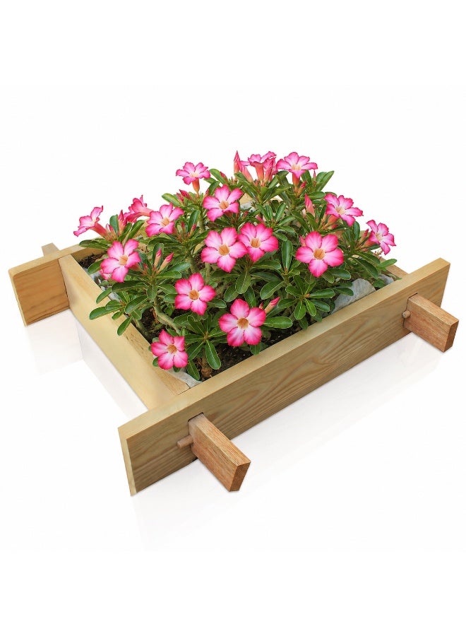 Puppy gardenbed, 1 Foot x 1 Foot,  Wooden Raised Garden Bed Outdoor, planter bed for home gardening, Ideal for growing plants. Also, Ideal as seed tray, starter tray. - Image 1