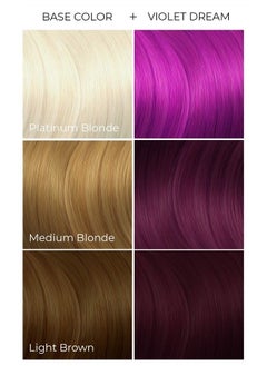 ARCTIC FOX Vegan and Cruelty-Free Semi-Permanent Hair Color Dye (4 Fl Oz, VIOLET DREAM)  - Image 2