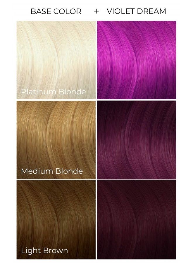 ARCTIC FOX صبغة شعر شبه دائمة نباتية وخالية من القسوة (4 أونصات سائلة، حلم البنفسج) - Image 2