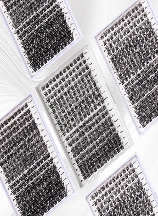 Magnetic SL Lash Clusters 204 Pcs Individual Lashes Clusters Eyelash Extensions False Eyelashes DIY Lash Extension Kit Reusable False Eyelashes Natural Look Mix 10-16mm(DM20+DM23) - Image 4