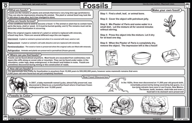 Tot Talk Science Explorer Educational Placemat 4Pack for Kids  Made in USA  Dinosaurs Solar System Rocks  Minerals  Fossils  Durable DoubleSided Waterproof Wipeable Learning Mats - Image 3
