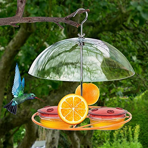 NEROSUN Baltimore Oriole Feeders, Jelly and Oranges, Hanging Wild Squirrel Proof Bluebirds Hummingbirds Houses for Outside, Outdoors - Image 2