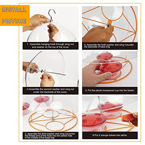 NEROSUN Baltimore Oriole Feeders, Jelly and Oranges, Hanging Wild Squirrel Proof Bluebirds Hummingbirds Houses for Outside, Outdoors - Image 5