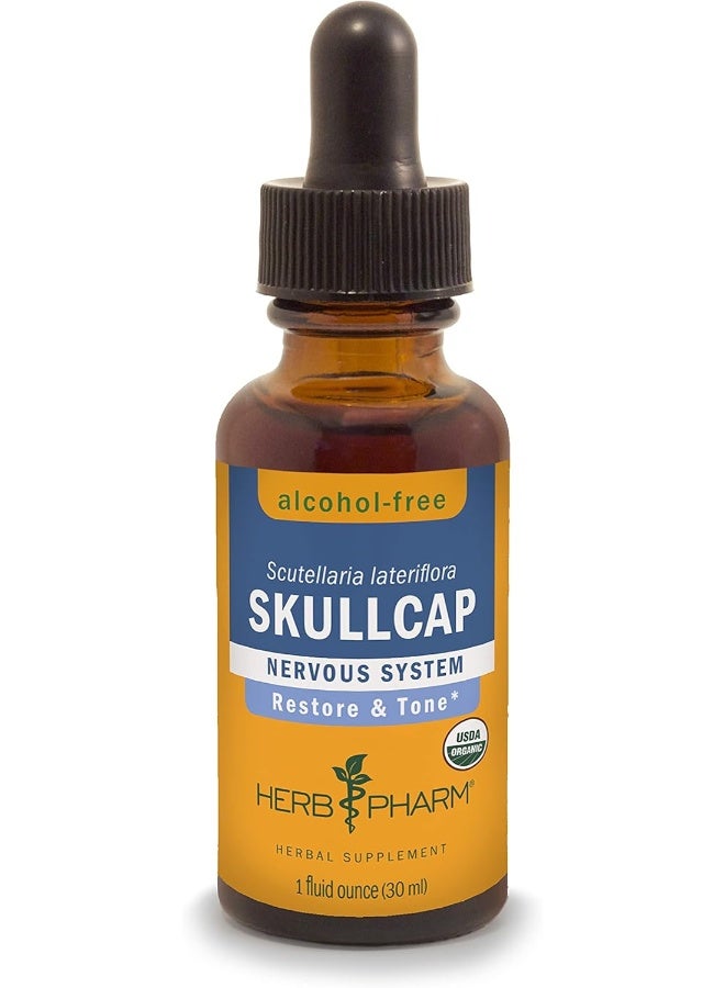 هيرب فارم مستخلص سائل عضوي معتمد لغطاء الجمجمة لدعم الجهاز العصبي، 1 أونصة سائلة - Image 1