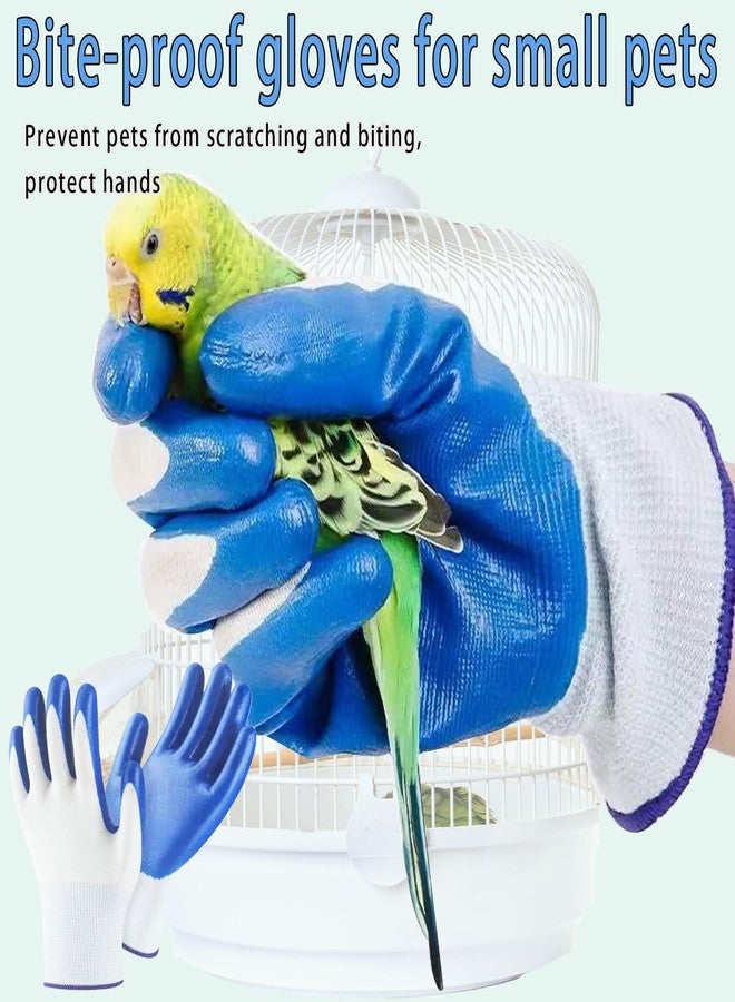 Delllala 6pcs Set Bird Cage Cleaner Kit - Stainless Steel Poop Remover & Scraper Tool- Essential Bird Cage Accessories for Parakeet Items & Small Animal Cage Cleaning - Image 4