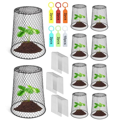 Doksving 10 Pcs 6874 Multiple SizesQuantities Available Seedling Plant Protectors from Animals Chicken Wire Plant Cage Garden Cloche to Protect Plants Vegetables from Rabbits Squirrels Chicken - Image 1