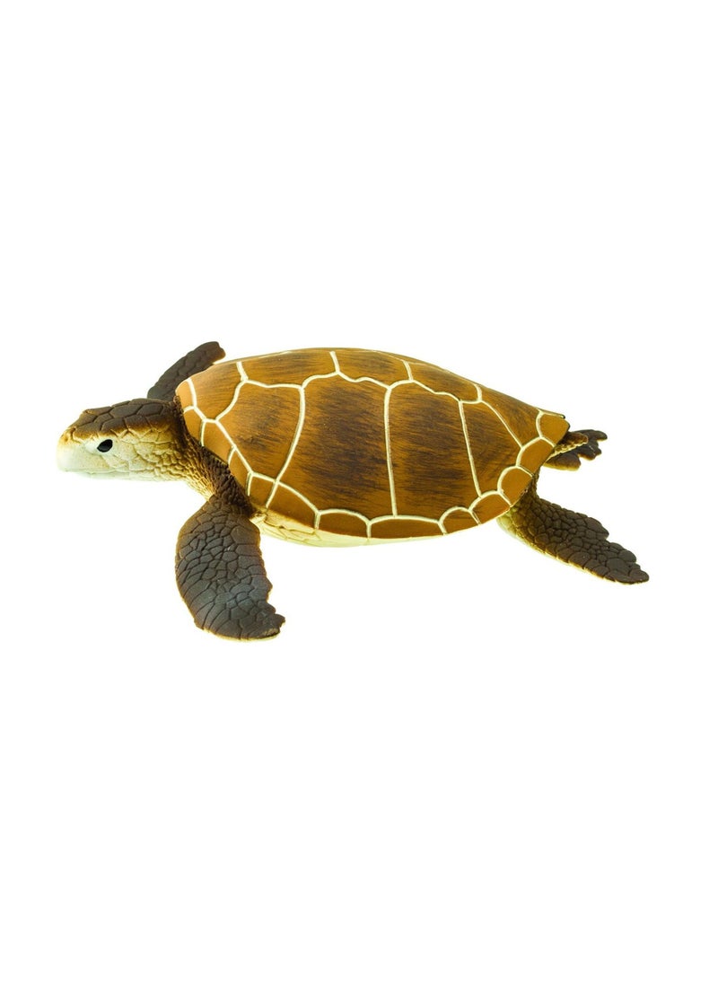 Green Sea Turtle 4 Inch - pzsku/Z344A133A208F32FF38F9Z/45/_/1698616145/ddb4b5f9-dfac-4788-851b-57afed14fed0