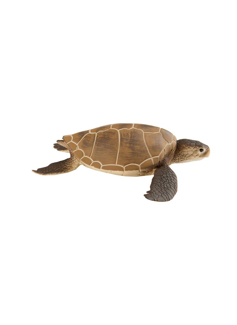 Green Sea Turtle 4 Inch - pzsku/Z344A133A208F32FF38F9Z/45/_/1698616146/007d941f-fe62-400c-ab7b-464101f6c94c