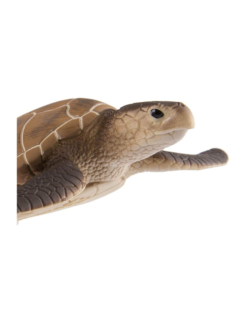 Green Sea Turtle 4 Inch - pzsku/Z344A133A208F32FF38F9Z/45/_/1698616146/31e6cf58-3841-4309-8292-3594b342f31d