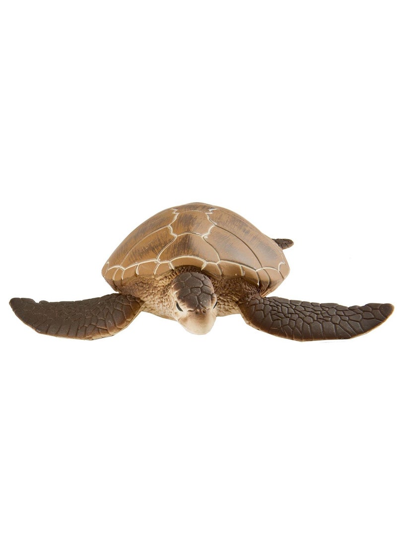 Green Sea Turtle 4 Inch - pzsku/Z344A133A208F32FF38F9Z/45/_/1698616147/4d7b53a7-98f7-4071-878d-056e096d5927