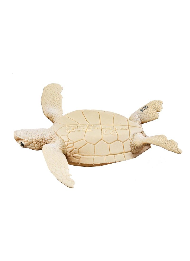 Green Sea Turtle 4 Inch - pzsku/Z344A133A208F32FF38F9Z/45/_/1698616148/28ca663f-0f78-461d-aef0-78ae29757127