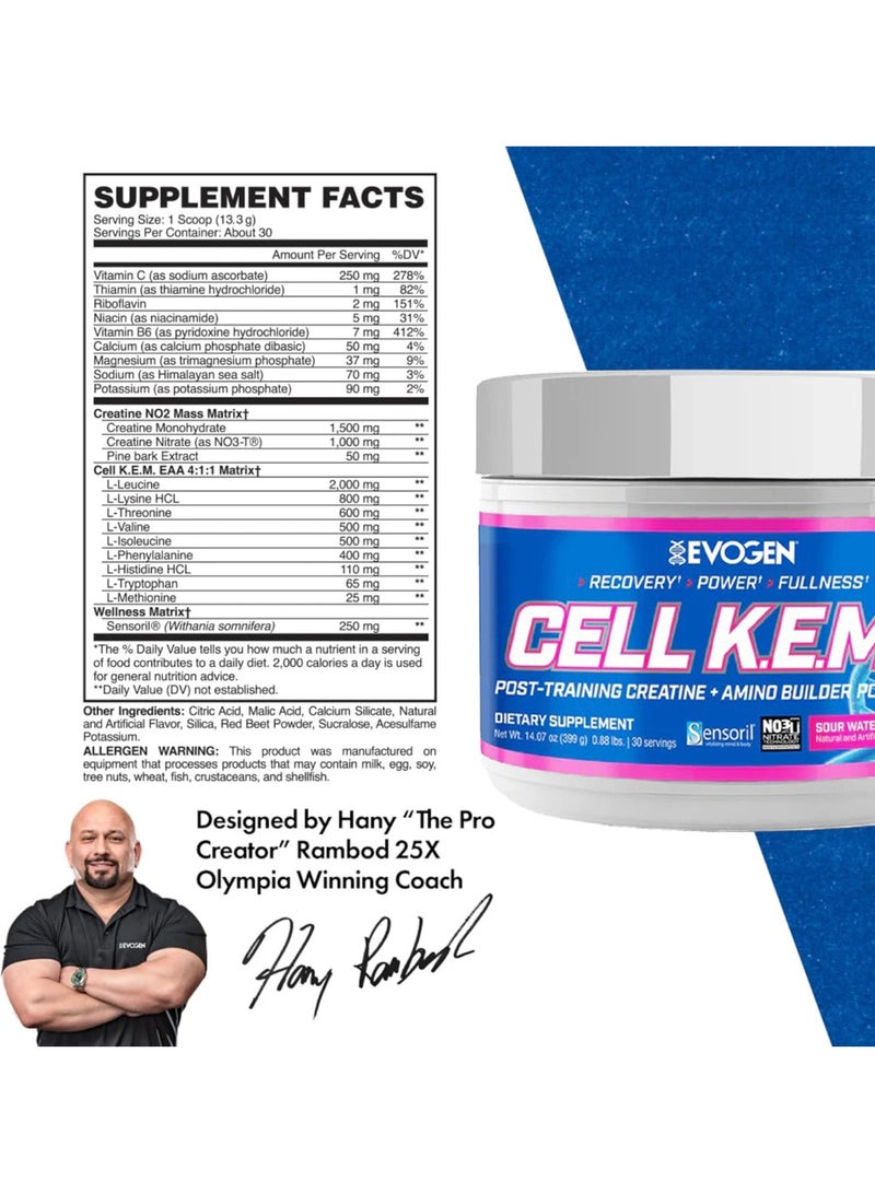 أيفوجن نيوتريشن سيل كيم بي ار  الأحماض الأمينية, ما بعد التمرين - البطيخ - (30 حصة) - Image 2