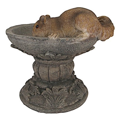 Design Toscano Hunter, the Woodland Squirrel Statue - Image 3