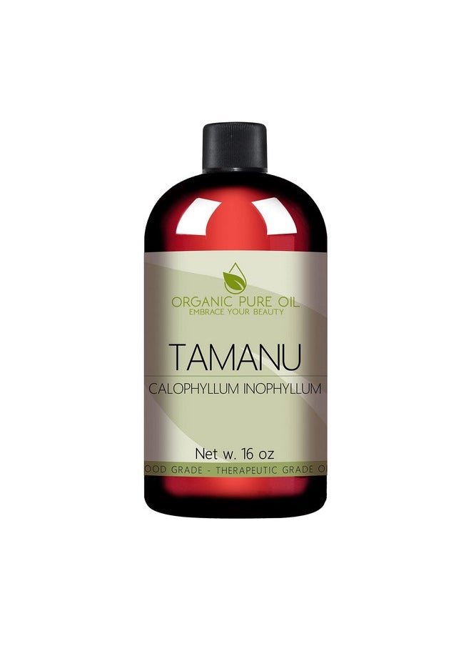 Tamanu Oil 100% Pure Uncut Organic Sourced Unrefined Nongmo Cold Pressed Nut Carrier Oil For Skin Hair Nails Body Face Diy Cosmetic Premium Grade A 16 Oz Hydrating Moisturizing - pzsku/Z344D64C002B13206C405Z/45/_/1719224152/7f9e3a12-a517-4885-9416-c690347454f5