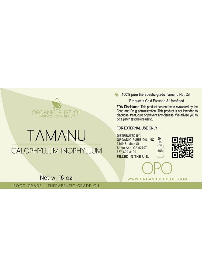 Tamanu Oil 100% Pure Uncut Organic Sourced Unrefined Nongmo Cold Pressed Nut Carrier Oil For Skin Hair Nails Body Face Diy Cosmetic Premium Grade A 16 Oz Hydrating Moisturizing - pzsku/Z344D64C002B13206C405Z/45/_/1719224153/31c8acfb-ae73-4de7-b075-335c32bfc204