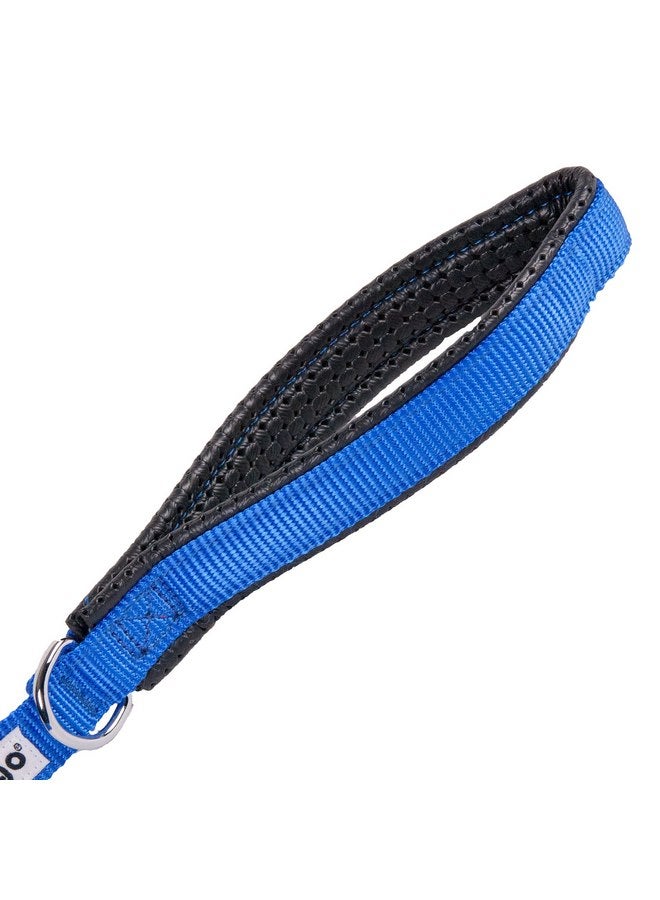 GOGO Pet Products 3/4-Inch Wide Comfy Nylon Dog Leash, 4-Feet Long, Blue - Image 2