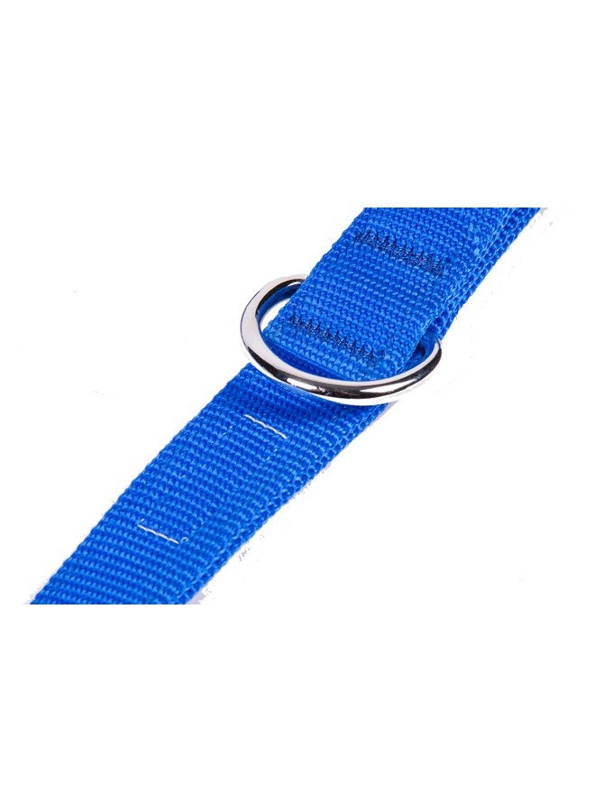GOGO Pet Products 3/4-Inch Wide Comfy Nylon Dog Leash, 4-Feet Long, Blue - Image 5