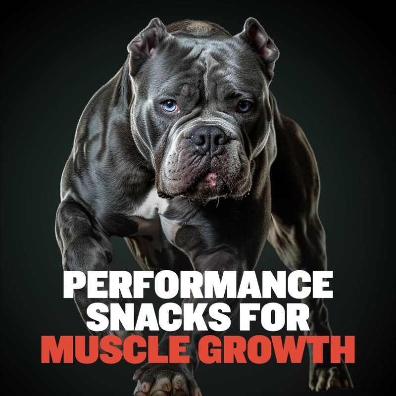 Bully Max Premium High Protein Dog Treats for Puppy & Adult Dogs - Training Dog Food Treats with 32% Protein, Real Meat, Veggies & BCAAs for Small, Medium & Large Breeds, Beef Flavor, 400g Bag - Image 2