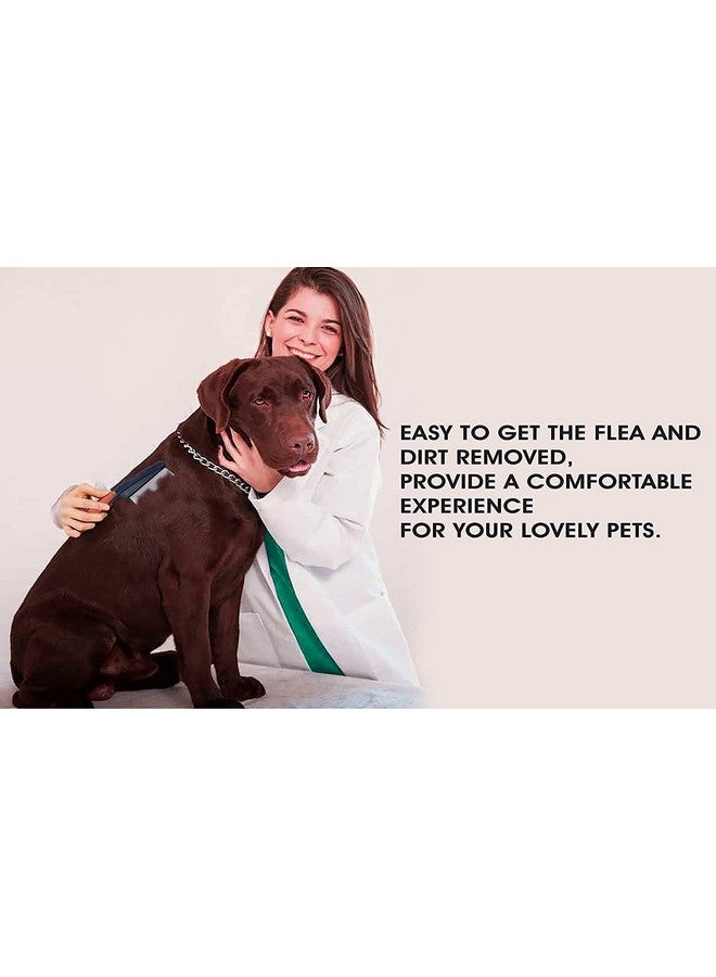 بت مشط براغيث الكلاب، مشط أسنان دقيقة من الفولاذ المقاوم للصدأ، مشط قمل، أداة احترافية لإزالة قمل الرأس، مشط شعر للحيوانات الأليفة، شعر طويل/قصير - أحمر وأسود - Image 4