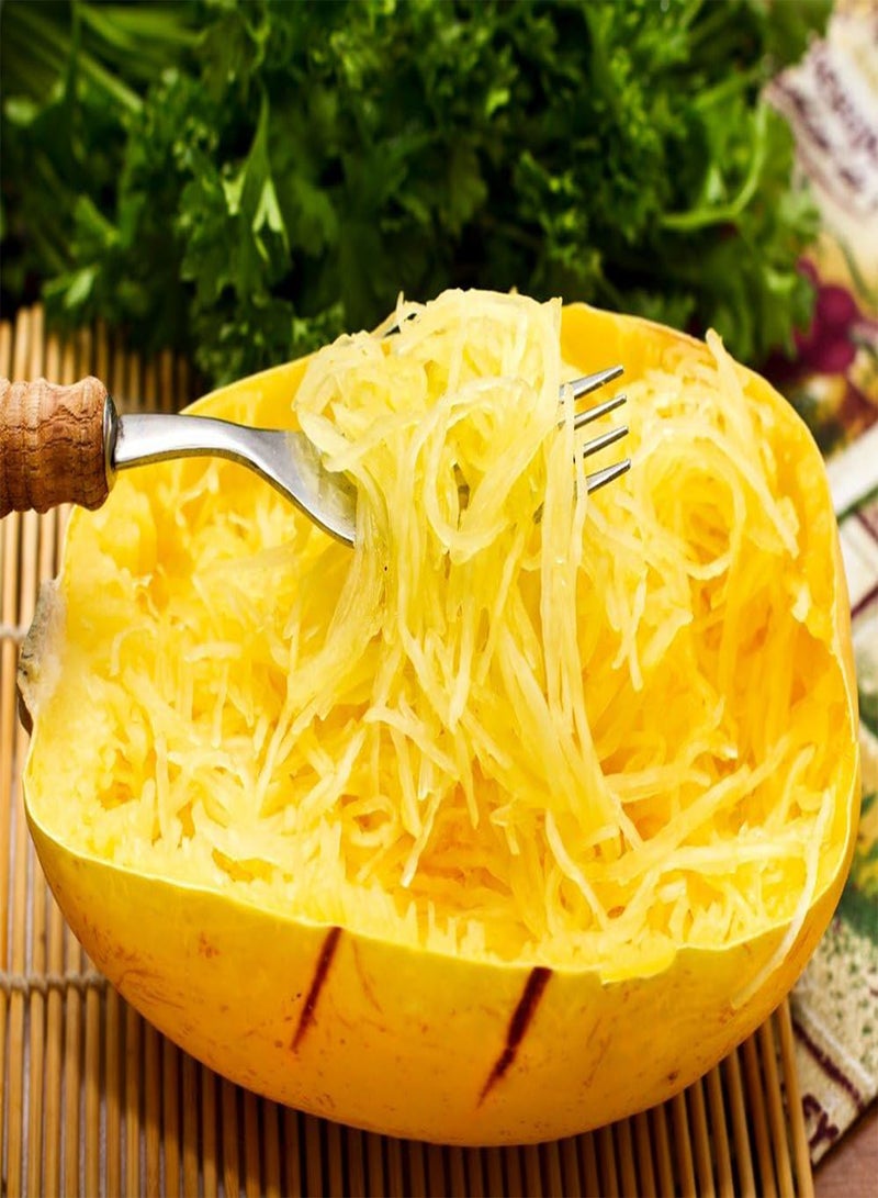 GGOOT Spaghetti Squash (Squash Makaronowa Warszawska) Cucurbita Pepo - - Image 2