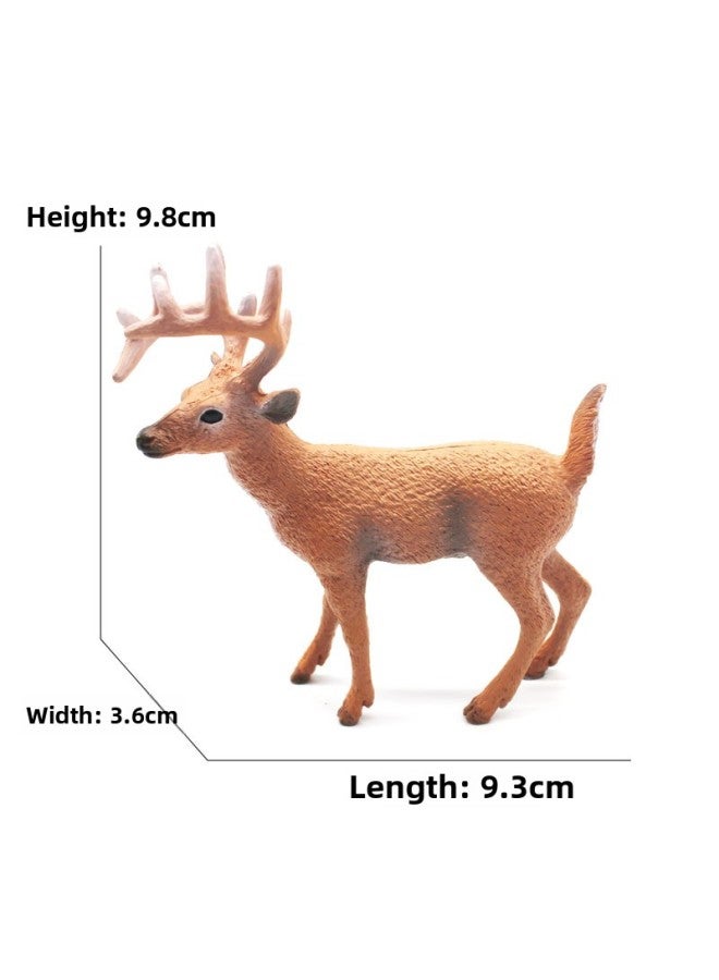 Animal Model Special For Teaching And Education Animal Model Kangaroo Elephant Lion Tiger Deer Ostrich Wolf-Color:4038 Male White-tailed Deer (39g)  - Image 1