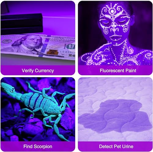 COSOOS 2 Pack UV Flashlight, 12 LED Handheld Blacklight Flashlight 395nm Mini Light Torch Detector for Dog Pet Urine Stains, Bed Bugs and Scorpions. (Batteries not Included) - Image 4