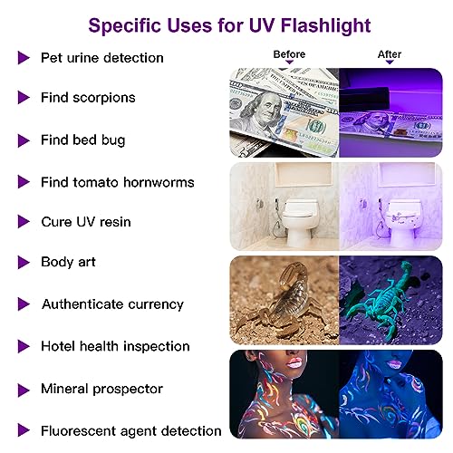 COSOOS 2 Pack UV Flashlight, 12 LED Handheld Blacklight Flashlight 395nm Mini Light Torch Detector for Dog Pet Urine Stains, Bed Bugs and Scorpions. (Batteries not Included) - Image 2