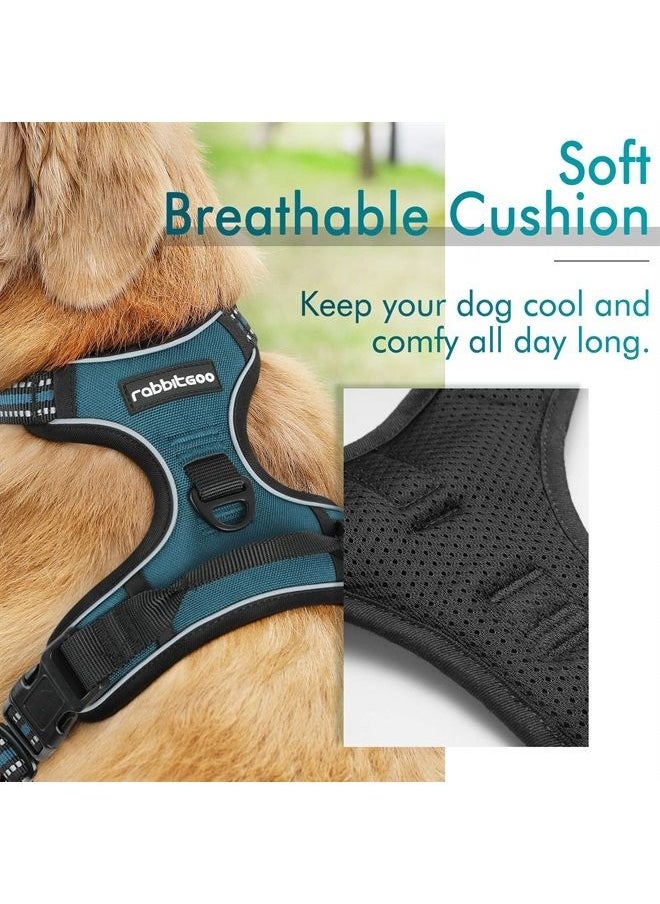 Dog Harness, No-Pull Pet Harness with 2 Leash Clips, Adjustable Soft Padded Dog Vest, Reflective No-Choke Pet Oxford Vest with Easy Control Handle for Large Dogs, Blue Coral, L - pzsku/Z345108C2149B7450203EZ/45/_/1687804180/a85edc1b-9d85-4616-abab-b871aef9eb23