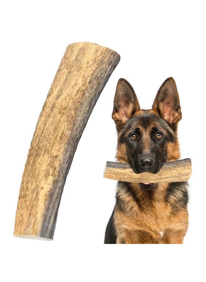Heartland Antlers Heartland Elk Antlers For Dogs  Grade A, Naturally Shed Antlers | Dog Bones For Aggressive Chewers & Teething Puppies | All Breeds Chew Toy Usa Made & Veteran Owned (Whole Elk: 8+", XLarge, 1Pack)  - Image 1
