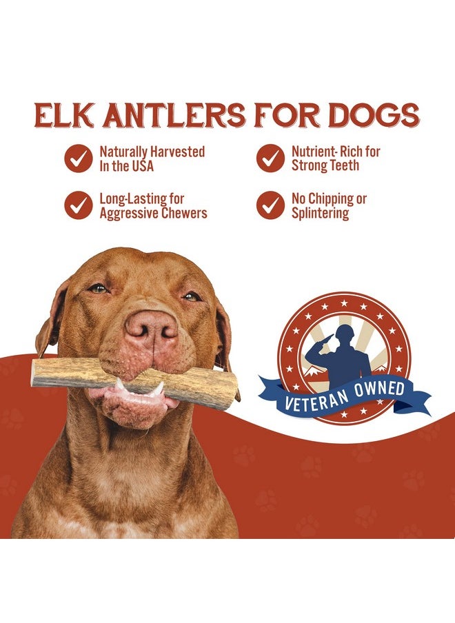 Heartland Antlers Heartland Elk Antlers For Dogs  Grade A, Naturally Shed Antlers | Dog Bones For Aggressive Chewers & Teething Puppies | All Breeds Chew Toy Usa Made & Veteran Owned (Whole Elk: 8+", XLarge, 1Pack)  - Image 2