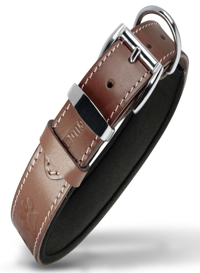 Filbert Leather Dog Collar, Genuine Leather Collar for Large Dogs, Pawprint Embossed with Buckle, Top-Notch Quality Vegetable-Tanned Full Grain, Strong, Adjustable, Heavy Metal Buckle, Brown - Image 1
